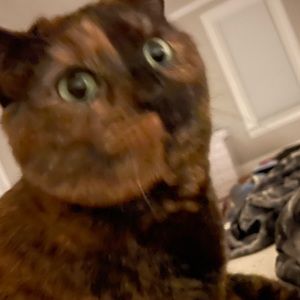 Meet your Posher, Dane